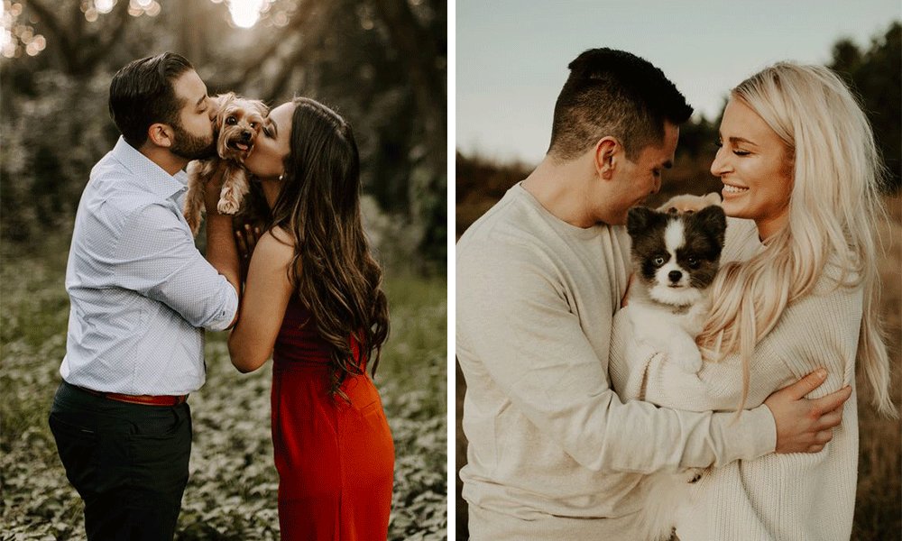 proposal engagement with dog