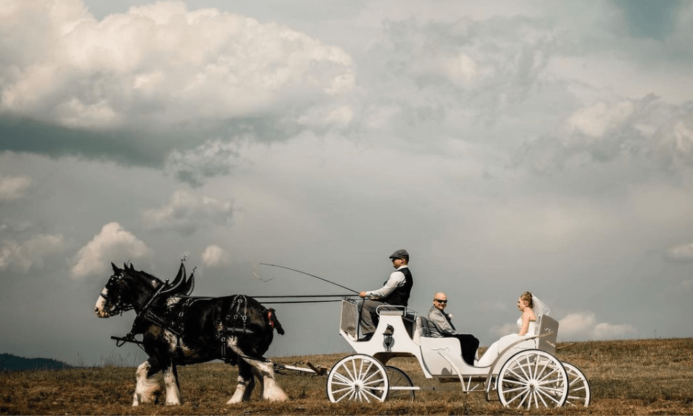 Horse Carriage Vintage Style 