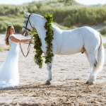 Horse as the wedding vehicle