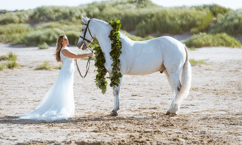 Horse as the wedding vehicle