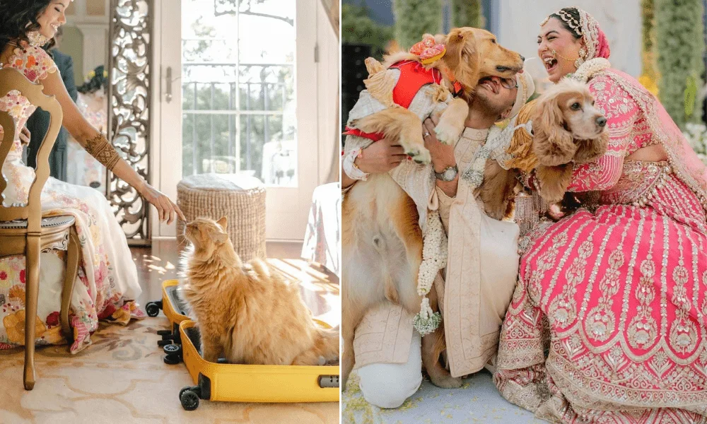 Pets as the man or Maid Of honor 