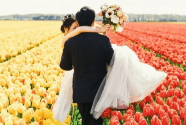 Tulip Garden Decor