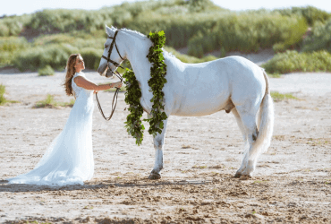 Horse as the wedding vehicle