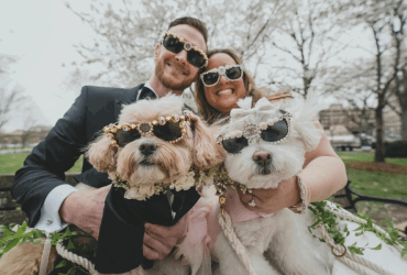 Candid photographs with pets