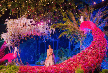 Extravagant Peacock Structures (1)